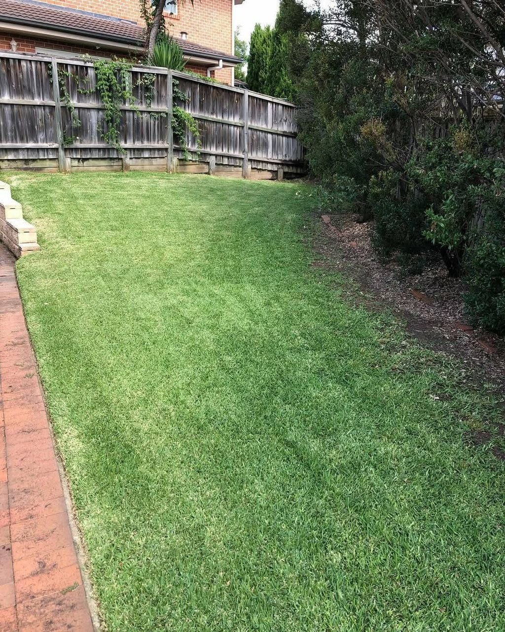 whatsapp image 2026 03 11 at 5.20.50 pm (1)