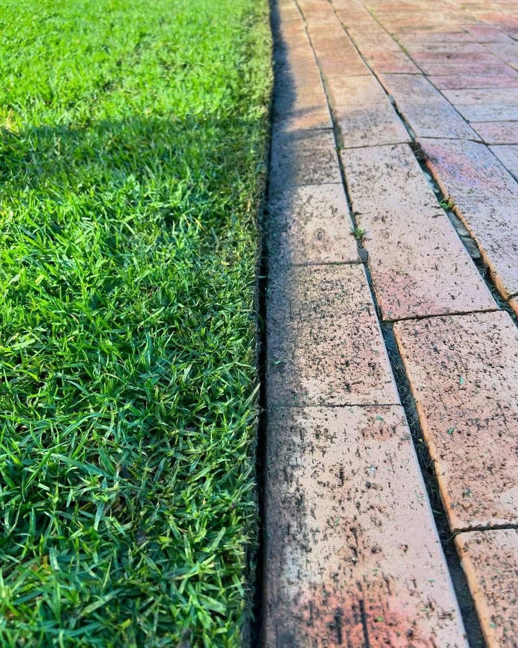 whatsapp image 2026 03 11 at 5.20.51 pm (1)