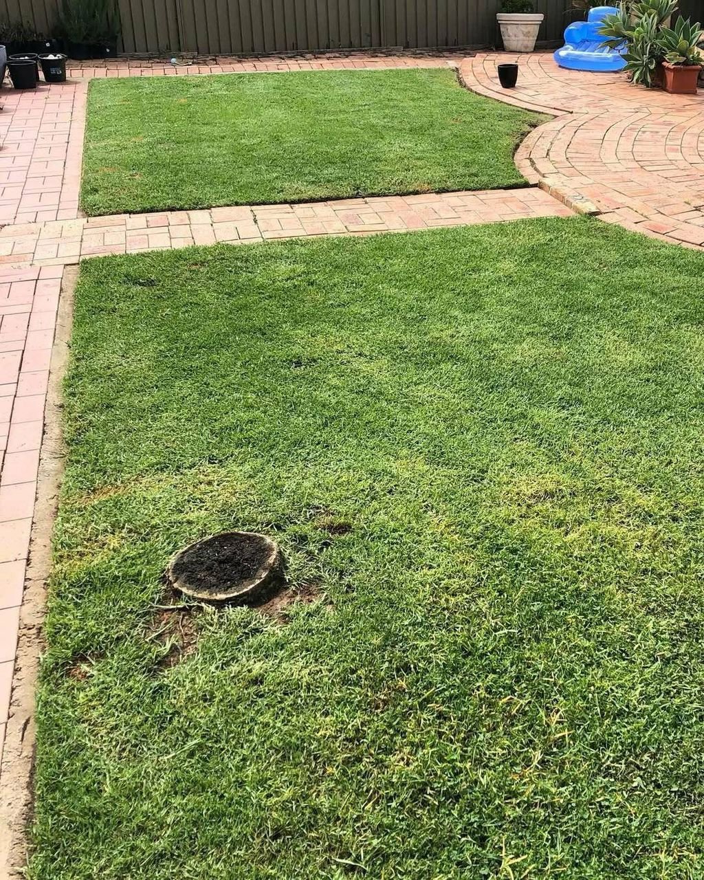 whatsapp image 2026 03 11 at 5.20.52 pm (1)