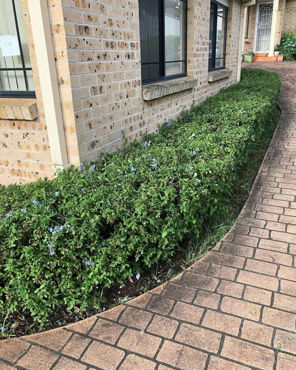 whatsapp image 2026 03 11 at 5.20.52 pm (2)