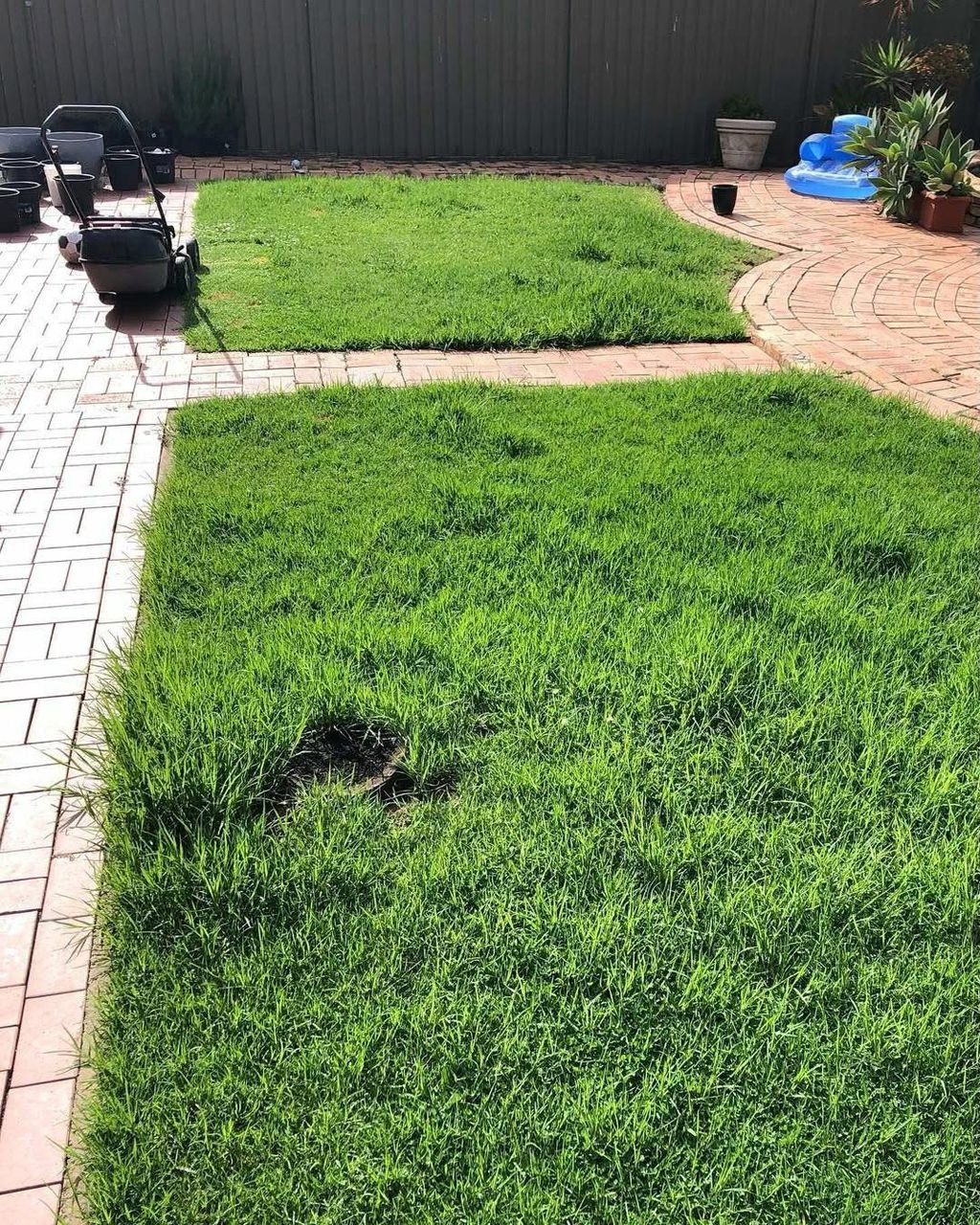 whatsapp image 2026 03 11 at 5.20.52 pm