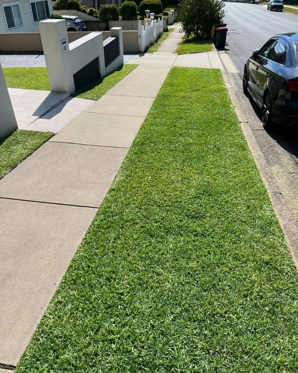 whatsapp image 2026 03 11 at 5.29.46 pm