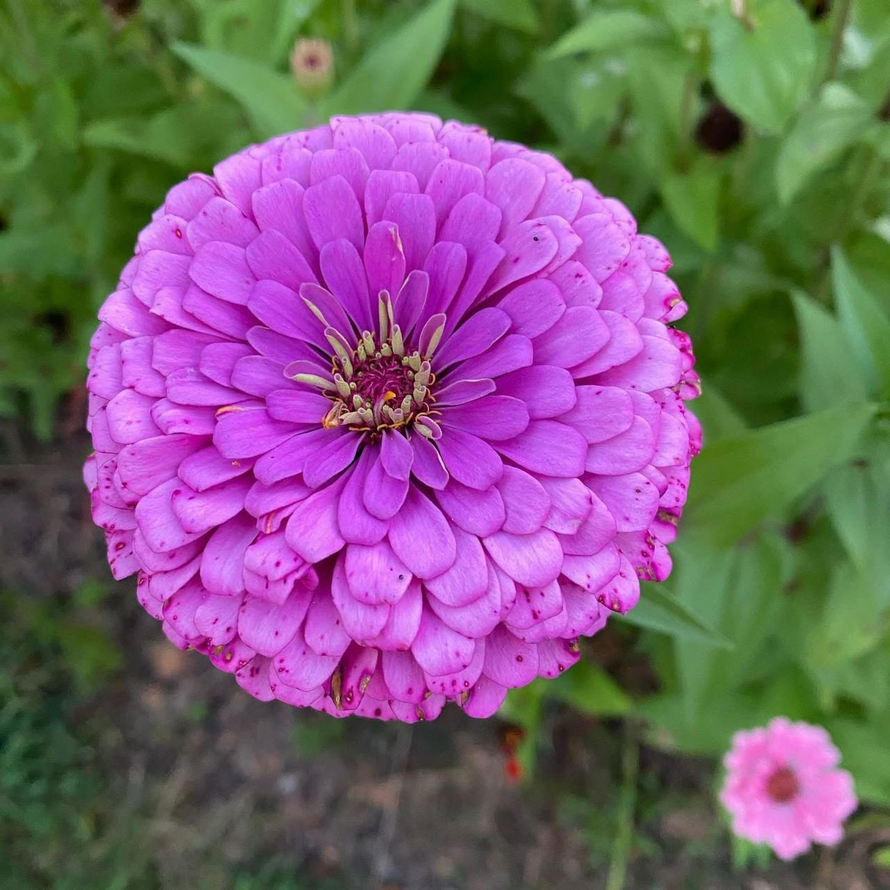 Home whatsapp image 2026 03 11 at 8.00.51 am (1)