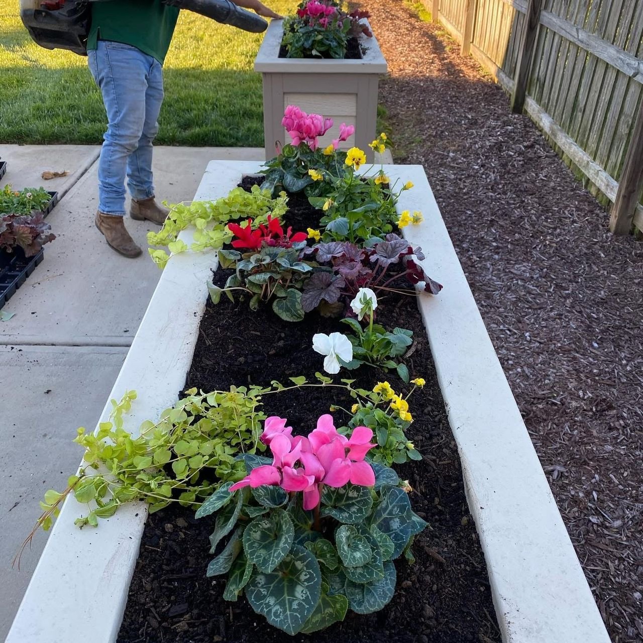 Home whatsapp image 2026 03 11 at 8.00.51 am