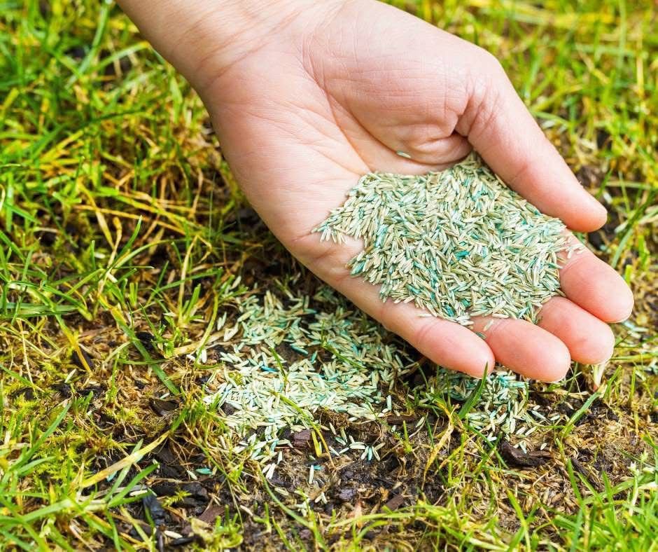 Home whatsapp image 2026 03 11 at 8.32.47 am (1)